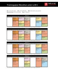 Trainingsplan Marathon unter 4:30 h - Hehl