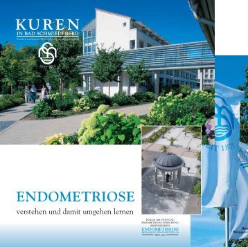 Behandlungskonzept Endometriose 656 kB - Eisenmoorbad Bad ...