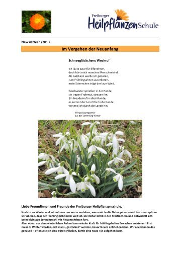 Newsletter Quartal I - Freiburger Heilpflanzenschule