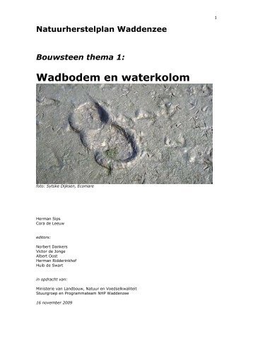 van het Wad - Helder over slib