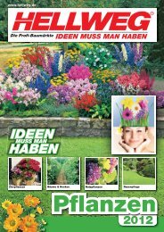 IDEEN HABEN - Hellweg