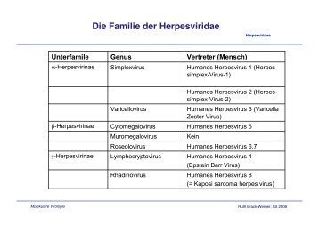 Die Familie der Herpesviridae