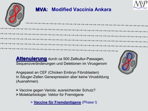 Impfung/Vakzine