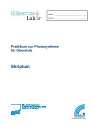 Photosynthese - pdf - Helmholtz Zentrum MÃ¼nchen
