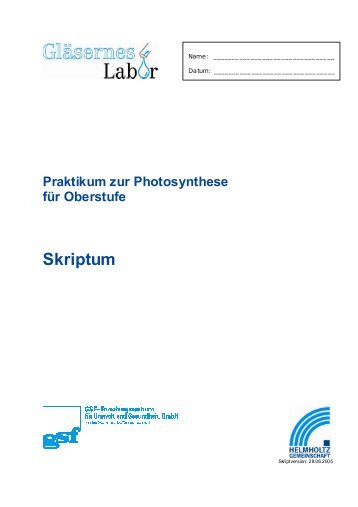 Photosynthese - pdf - Helmholtz Zentrum MÃ¼nchen