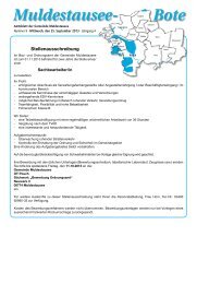 2013-09-25_Ausgabe 9 - Gemeinde Muldestausee