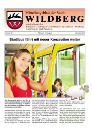 Stadtbus fährt mit neuer Konzeption weiter - Wildberg