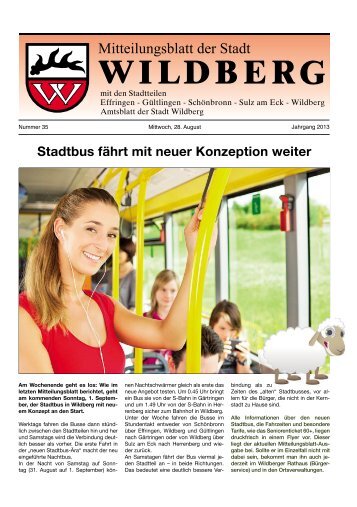 Stadtbus fährt mit neuer Konzeption weiter - Wildberg