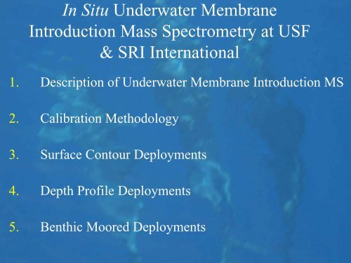 Underwater Mass Spectrometry: Developments and Calibration