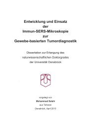 1 Einleitung - repOSitorium - Universität Osnabrück