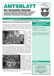 Amtsblatt Nr. 04 vom 7. März 2013 (3.84 MB) - Gemeinde Salzatal