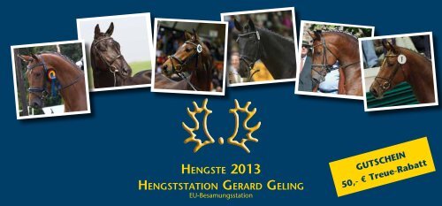 Download Screen-PDF - Hengststation Geling