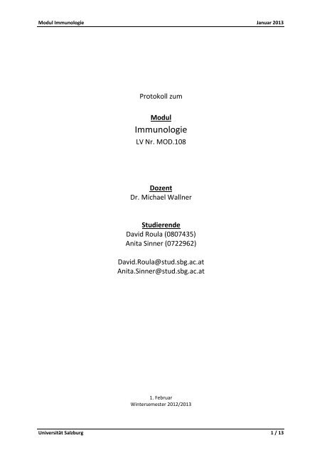 Protokoll 1 (Wallner)