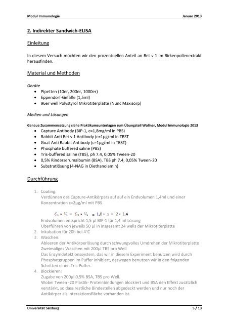 Protokoll 1 (Wallner)