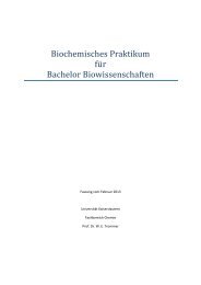 Skript zum Biochemiepraktikum für Bachelor Biowissenschaften