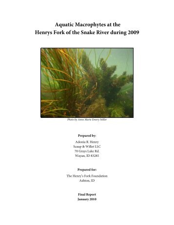 Aquatic Macrophytes at the Henry's Fork of the Snake River in 2009