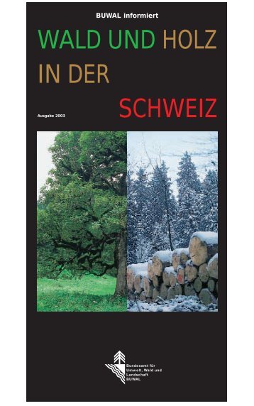 WALD UND HOLZ IN DER SCHWEIZ