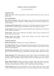 PARTICLE AND NUCLEAR PHYSICS - High Energy Physics Group