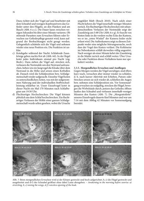 Vogelwarte_51_2013-1.pdf - OPUS 4 | Home - Goethe-Universität