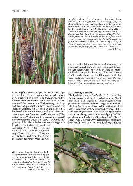 Vogelwarte_51_2013-1.pdf - OPUS 4 | Home - Goethe-Universität