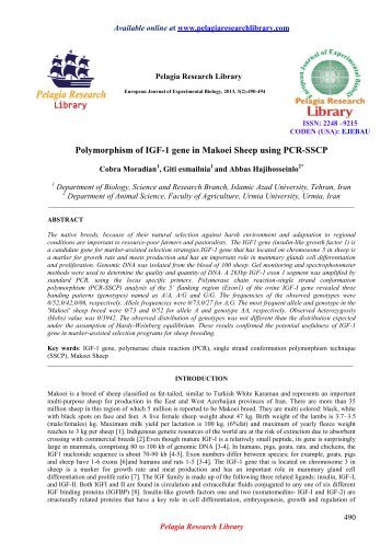 Polymorphism of IGF-1 gene in Makoei Sheep using PCR-SSCP