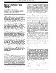 Settling Velocities of Fractal Aggregates