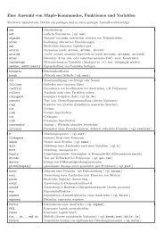 Eine Auswahl von Maple-Kommandos, Funktionen und Variablen