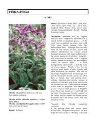 Mint - Herbalpedia