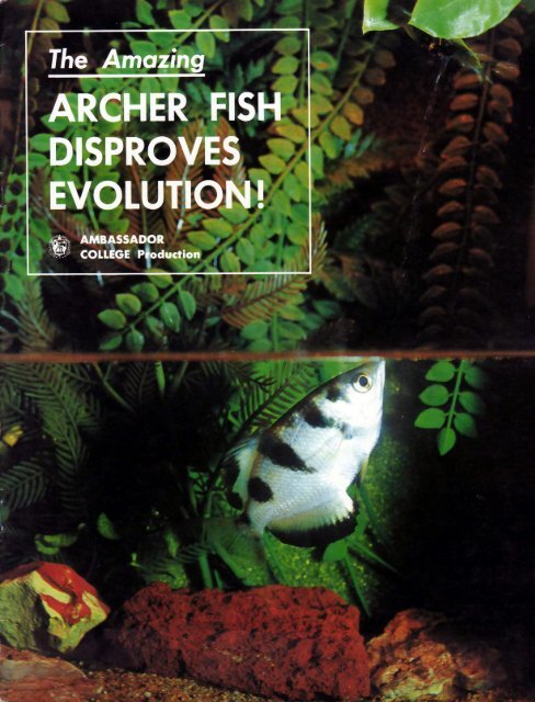 Archer Fish Disproves Evolution Pdf