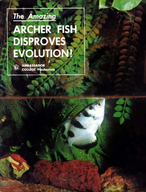 Archer Fish Disproves Evolution Pdf Archer Fish Disproves Evolution Pdf