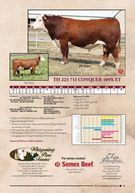 2013 HEREFORD AI BOOK - American Hereford Association