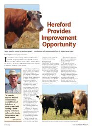 Hereford Provides Improvement Opportunity