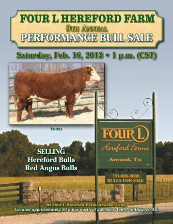 Four L HereFord Farm - Four L Herefords