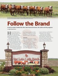 Follow the Brand - American Hereford Association