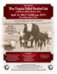 West Virginia Polled Hereford Sale - American Hereford Association