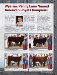 Wyarno, Penny Lane Named American Royal Champions