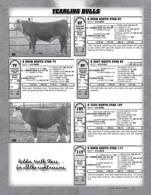 Annual Bull and Heifer Sale - Hereford America