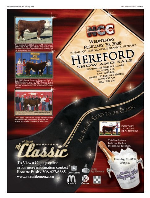 January 2008 Issue (pdf - 19265 kb)... - Hereford America