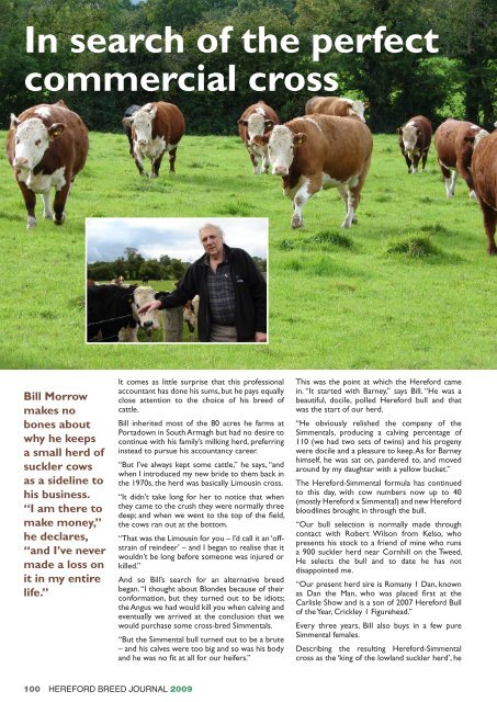 In Search Of The Perfect Commercial Cross Hereford Cattle Society