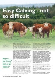 Easy Calving - not so difficult - Hereford Cattle Society