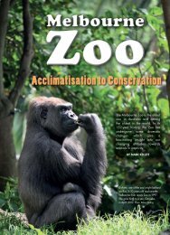 Heritage 0609_Zoo.pdf - Australian Heritage Magazine