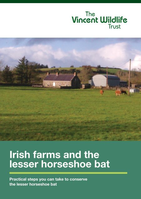 Irish farms and the lesser horseshoe bat - The Heritage Council