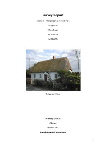 Read the Survey Report undertaken by Jimmy Lenehan here (2012)