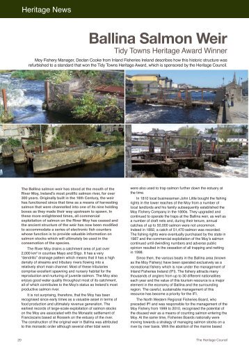Ballina Salmon Weir - The Heritage Council