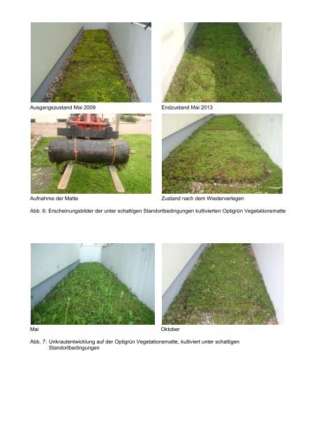 Versuche in der Landespflege Gemeinsame Veröffentlichung ... - FLL