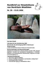 pdf-Datei hier laden - Herpetofauna von Nordrhein-Westfalen