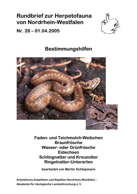 Pdf-Datei hier laden - Herpetofauna von Nordrhein-Westfalen