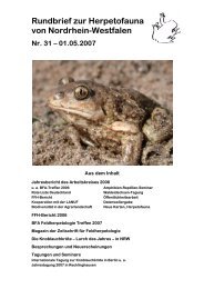 pdf-Datei hier laden - Herpetofauna von Nordrhein-Westfalen