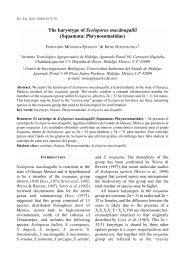 The karyotype of Sceloporus macdougallii (Squamata ...