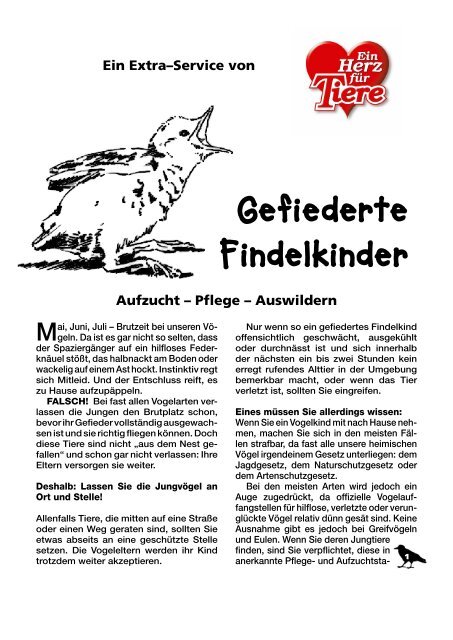 PDF herunterladen - Ein Herz fÃ¼r Tiere